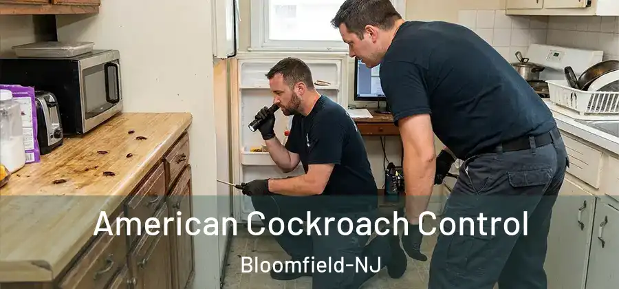  American Cockroach Control Bloomfield-NJ