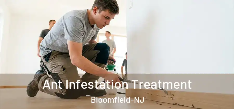  Ant Infestation Treatment Bloomfield-NJ