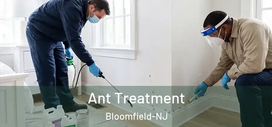  Ant Treatment Bloomfield-NJ