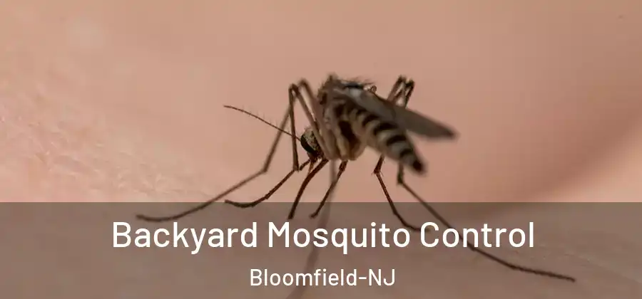  Backyard Mosquito Control Bloomfield-NJ