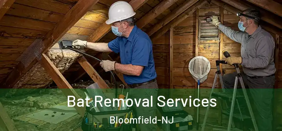 Bat Removal Services Bloomfield-NJ