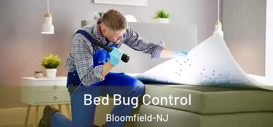  Bed Bug Control Bloomfield-NJ