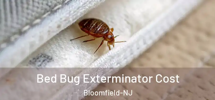  Bed Bug Exterminator Cost Bloomfield-NJ