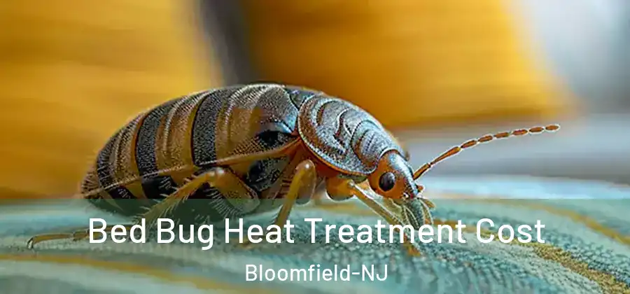  Bed Bug Heat Treatment Cost Bloomfield-NJ