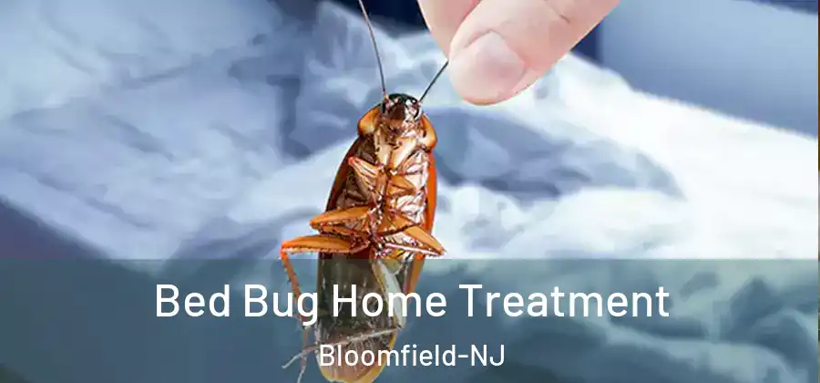  Bed Bug Home Treatment Bloomfield-NJ