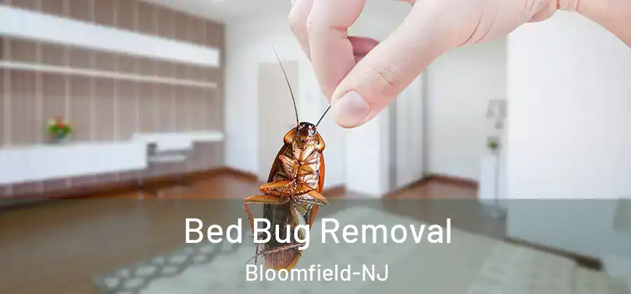  Bed Bug Removal Bloomfield-NJ