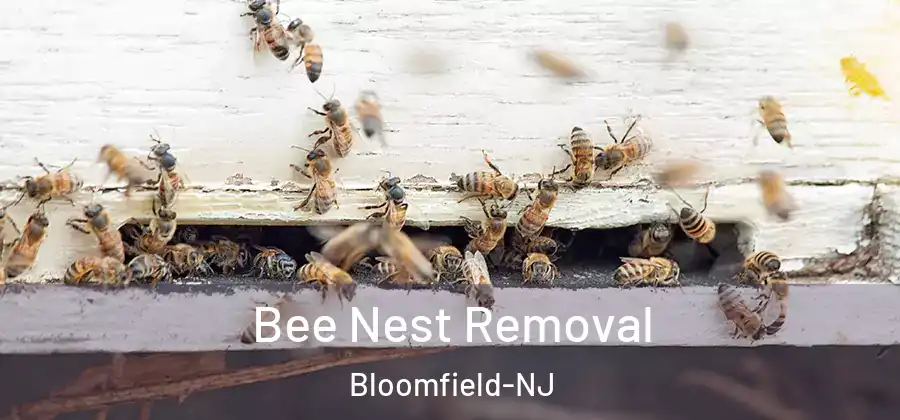 Bee Nest Removal Bloomfield-NJ