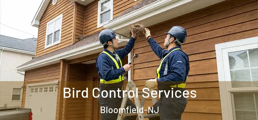  Bird Control Services Bloomfield-NJ