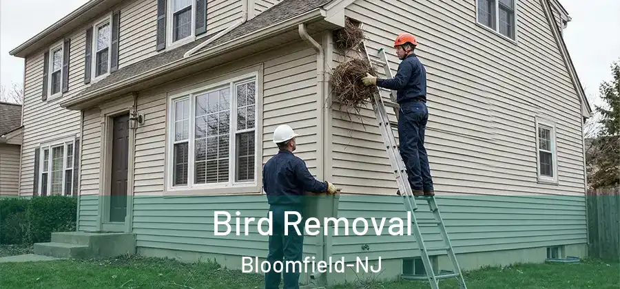  Bird Removal Bloomfield-NJ