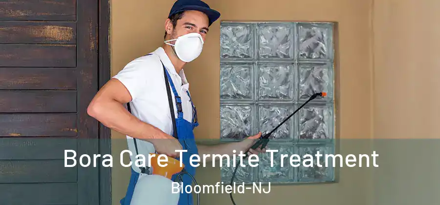  Bora Care Termite Treatment Bloomfield-NJ