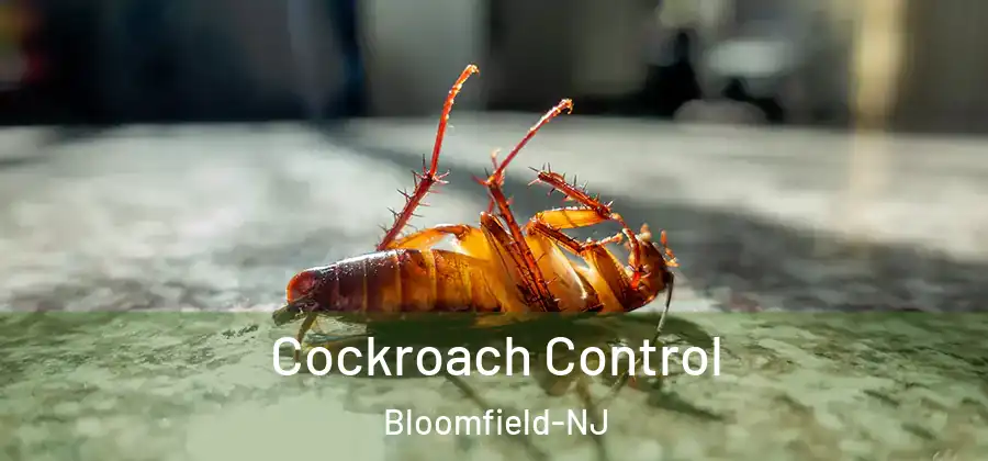  Cockroach Control Bloomfield-NJ