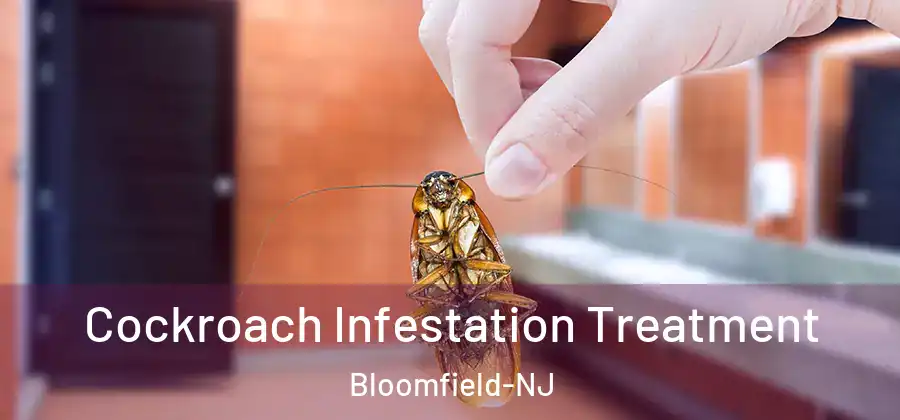  Cockroach Infestation Treatment Bloomfield-NJ