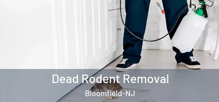  Dead Rodent Removal Bloomfield-NJ
