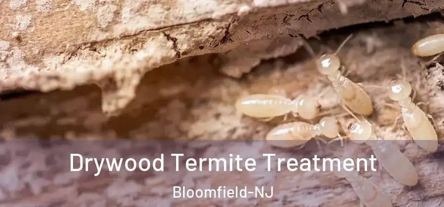  Drywood Termite Treatment Bloomfield-NJ