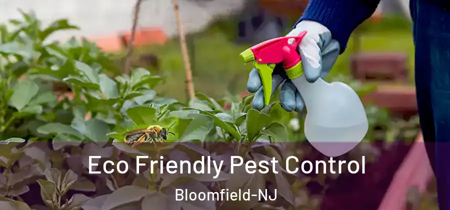  Eco Friendly Pest Control Bloomfield-NJ