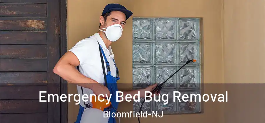  Emergency Bed Bug Removal Bloomfield-NJ