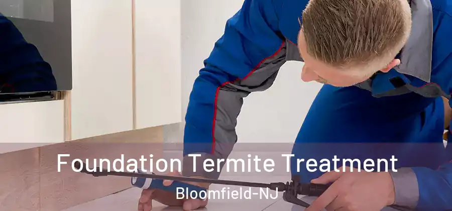 Foundation Termite Treatment Bloomfield-NJ
