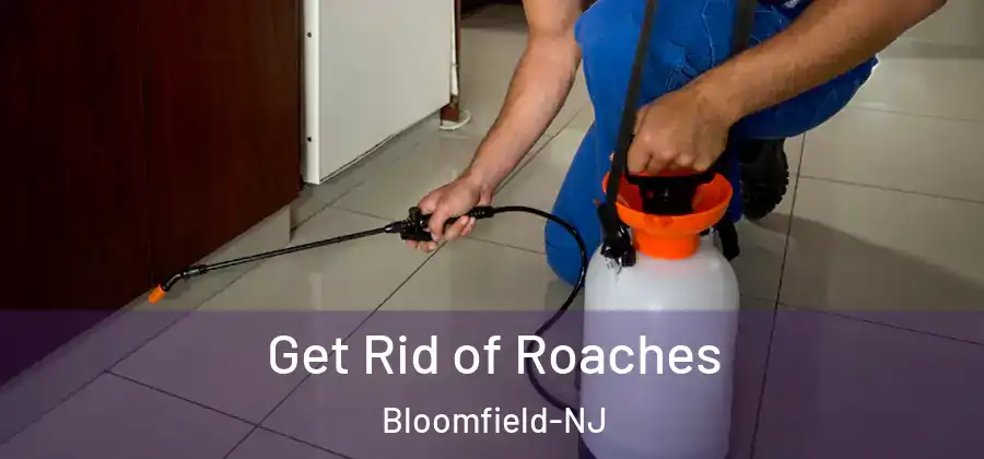  Get Rid of Roaches Bloomfield-NJ