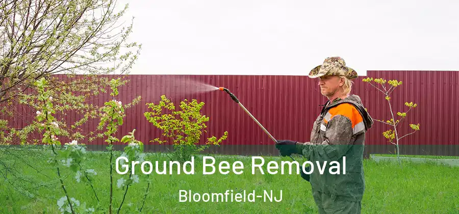  Ground Bee Removal Bloomfield-NJ