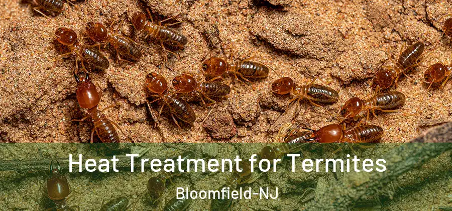  Heat Treatment for Termites Bloomfield-NJ