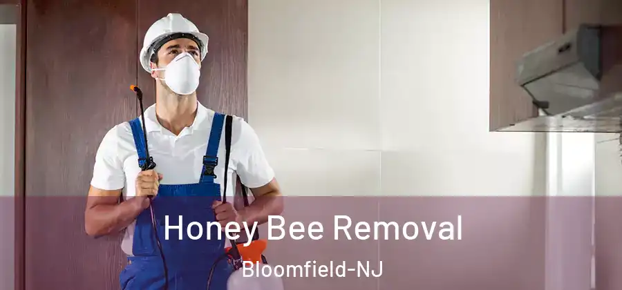 Honey Bee Removal Bloomfield-NJ
