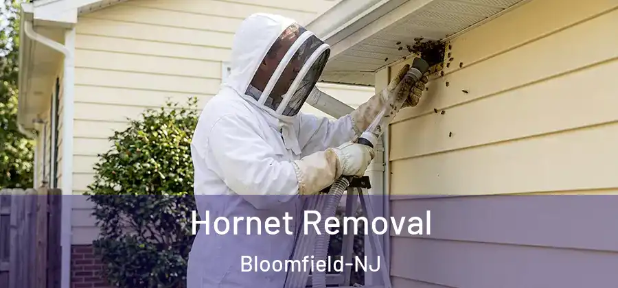  Hornet Removal Bloomfield-NJ