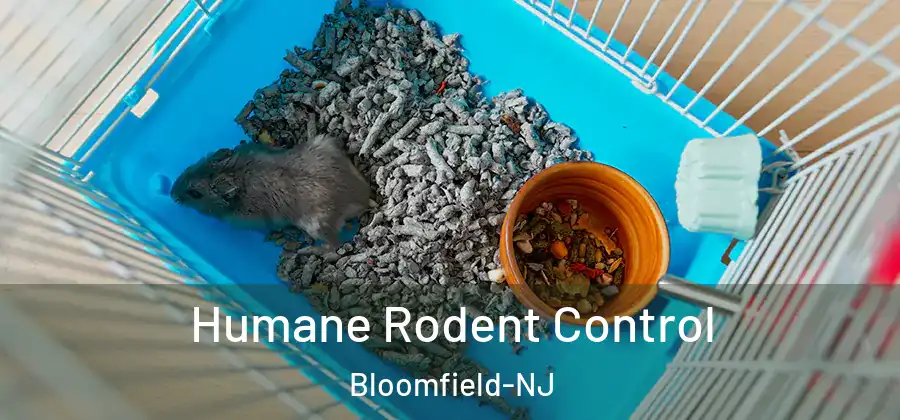  Humane Rodent Control Bloomfield-NJ