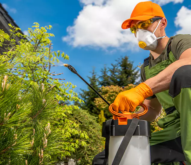 Your Mosquito Repellent Barrier Service in Bloomfield, NJ