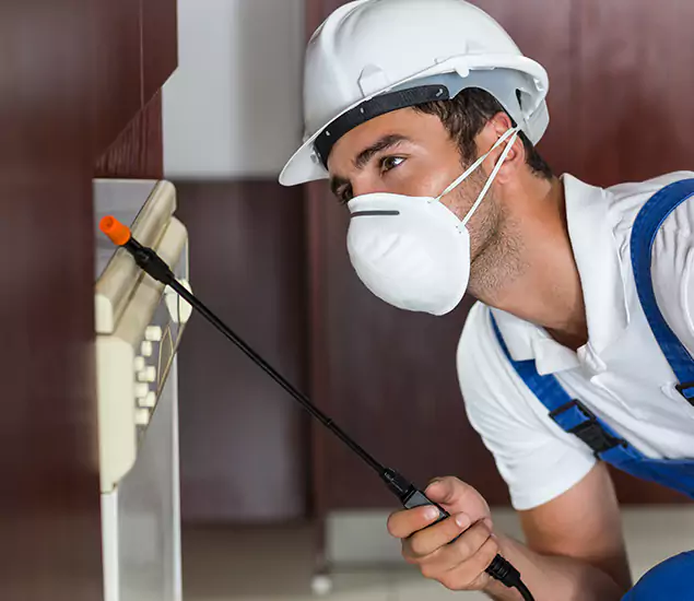 Expert Cockroach Exterminator: Your Roach Control Services in Bloomfield, NJ