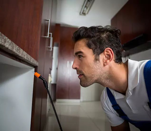 Termite Inspection Cost Experts You Can Trust in Bloomfield, NJ