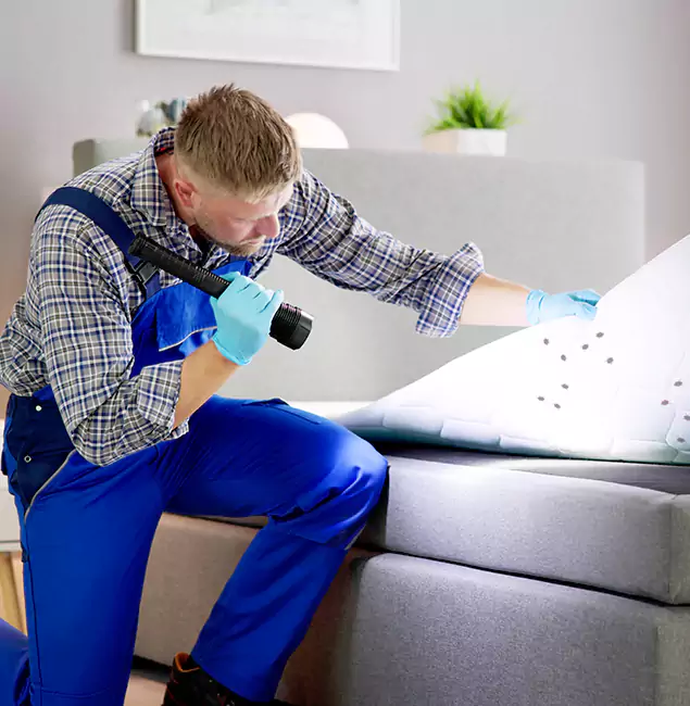 Why Choose Bloomfield Pest Control Pro For Bed Bug Heat Treatment in Bloomfield, NJ?
