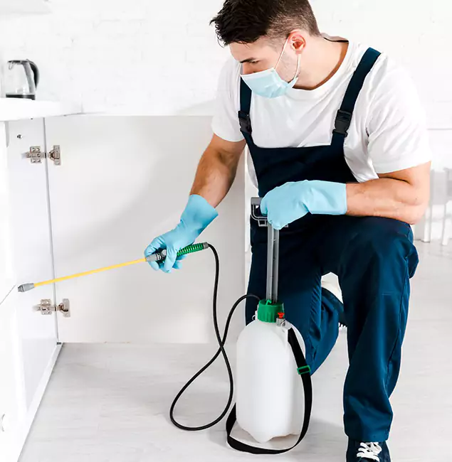Why Bloomfield, NJ Homeowners Trust Us for German Roach Control?