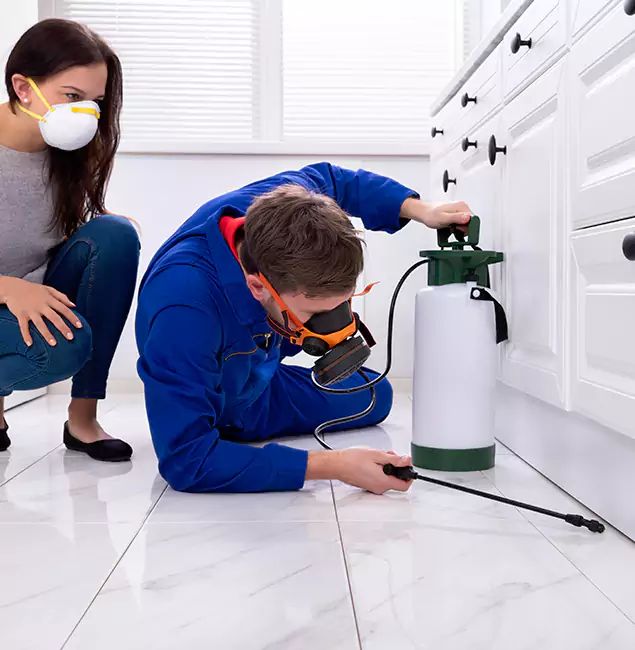 Why Bloomfield, NJ Homeowners Trust Bloomfield Pest Control Pro for Roach Control?