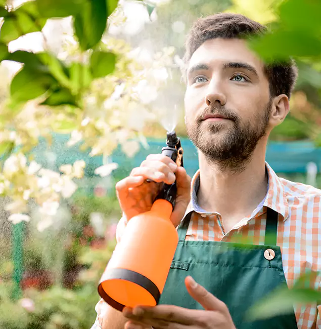 Why Bloomfield Homeowners Call Bloomfield Pest Control Pro for Mosquitoes in House?