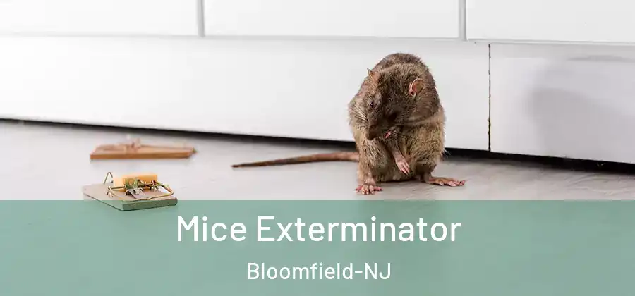  Mice Exterminator Bloomfield-NJ