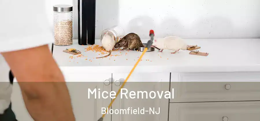 Mice Removal Bloomfield-NJ