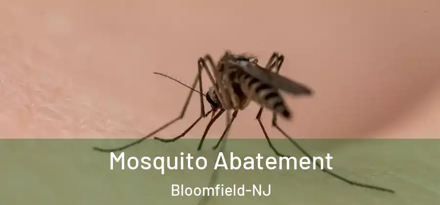  Mosquito Abatement Bloomfield-NJ