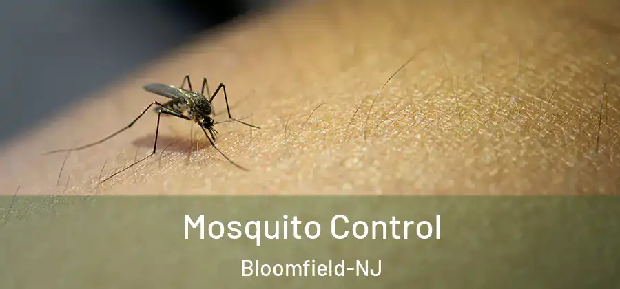 Mosquito Control Bloomfield-NJ