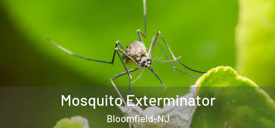  Mosquito Exterminator Bloomfield-NJ