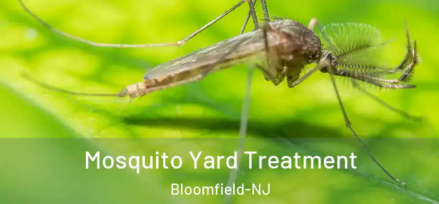  Mosquito Yard Treatment Bloomfield-NJ