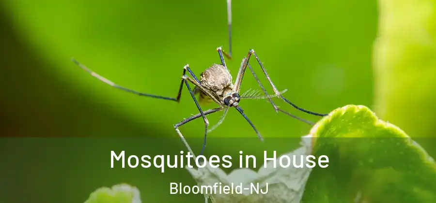  Mosquitoes in House Bloomfield-NJ
