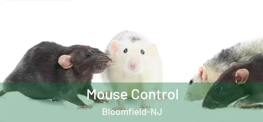  Mouse Control Bloomfield-NJ