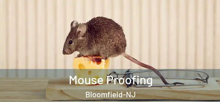  Mouse Proofing Bloomfield-NJ