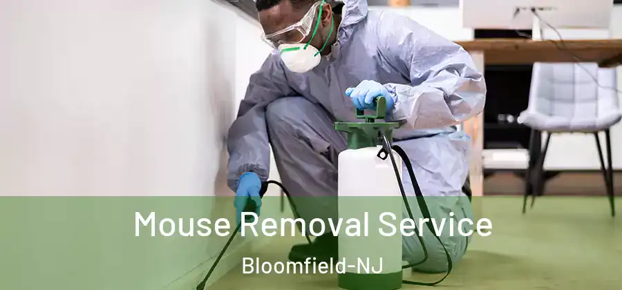  Mouse Removal Service Bloomfield-NJ