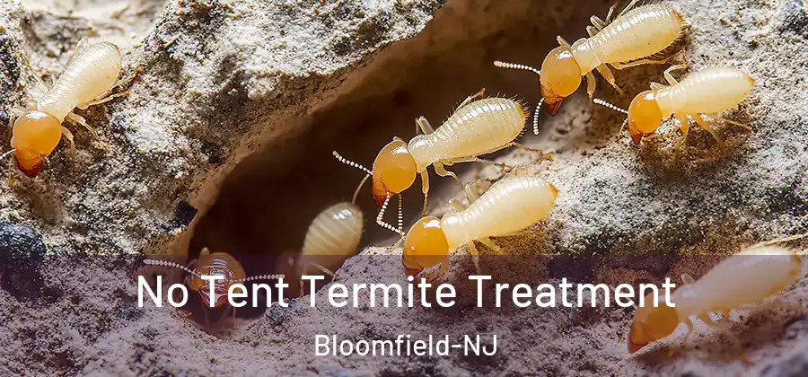  No Tent Termite Treatment Bloomfield-NJ
