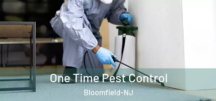  One Time Pest Control Bloomfield-NJ