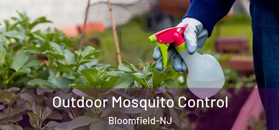  Outdoor Mosquito Control Bloomfield-NJ