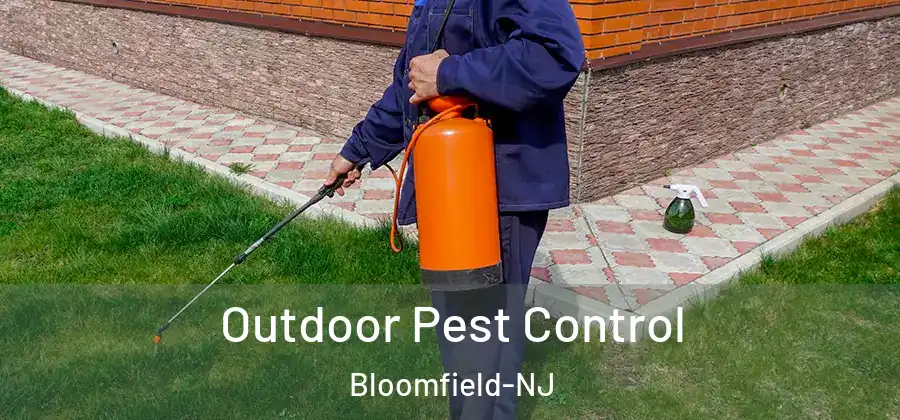Outdoor Pest Control Bloomfield-NJ