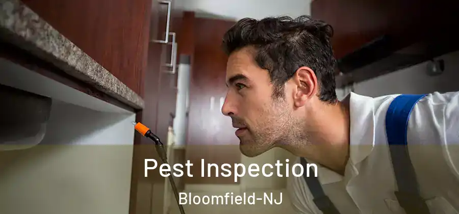  Pest Inspection Bloomfield-NJ