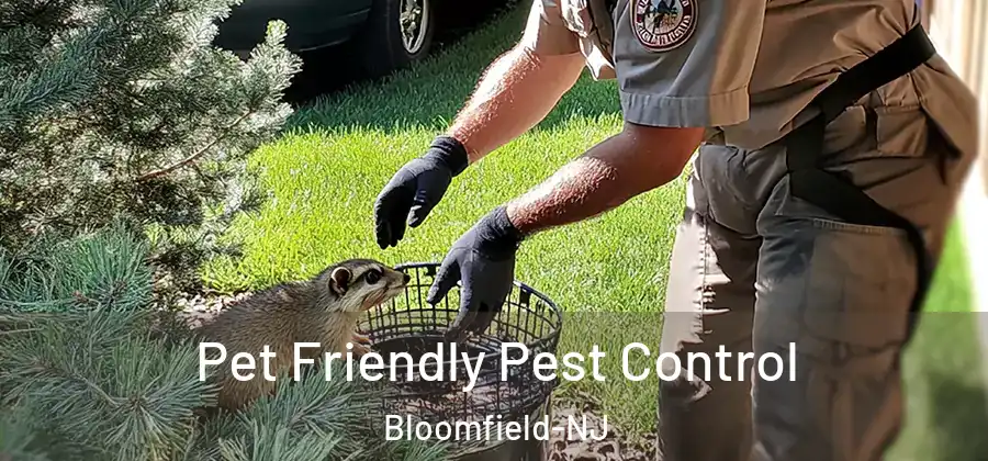  Pet Friendly Pest Control Bloomfield-NJ